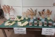 محصولات دانش بنیان 3