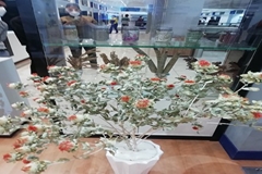 گیاهان دارویی